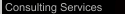 Consulting Services